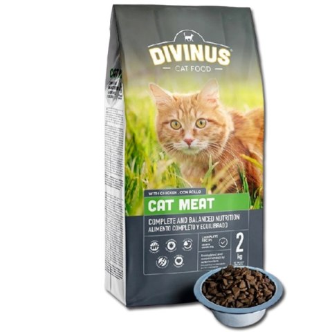 PRÓBKA Divinus Cat Meat 100g PRÓBKA Divinus Cat Meat 100g