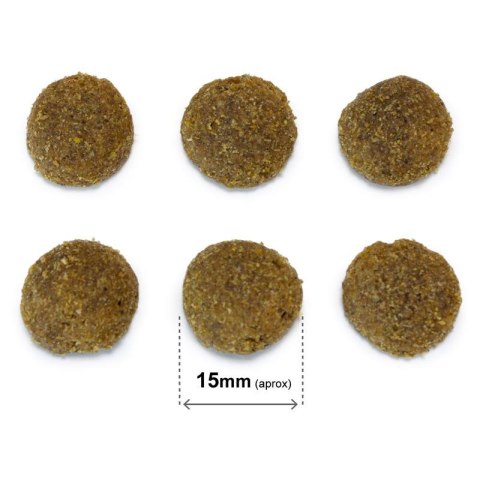 ARQUIVET Original wieprzowina iberyjska 20 kg ARQUIVET Original wieprzowina iberyjska 20 kg