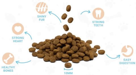 Divinus Puppy dla szczeniąt 20kg