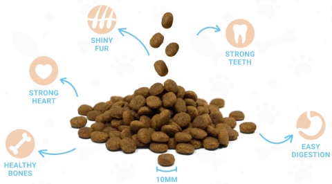 DIVINUS PUPPY Karma sucha dla szczeniąt owczarek labrador witaminy 20kg