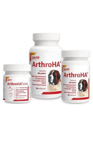 Dolfos Dolfos ArthroHa 90 Tabletek