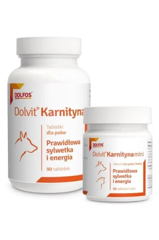Dolfos Dolfos Dolvit Karnityna 90 Tabletek