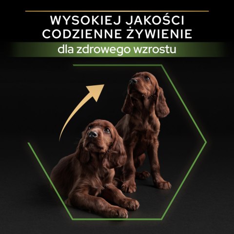 Purina Pro Plan Purina Pro Plan Large Puppy Athletic Optistart Kurczak I Ryż 12kg
