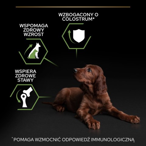 Purina Pro Plan Purina Pro Plan Large Puppy Athletic Optistart Kurczak I Ryż 12kg