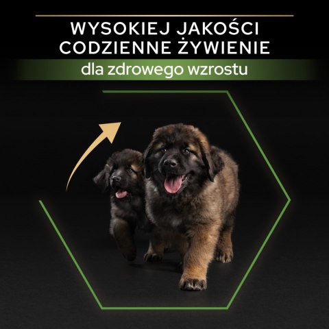 Purina Pro Plan Purina Pro Plan Large Puppy Robust Optistart Kurczak I Ryż 12kg