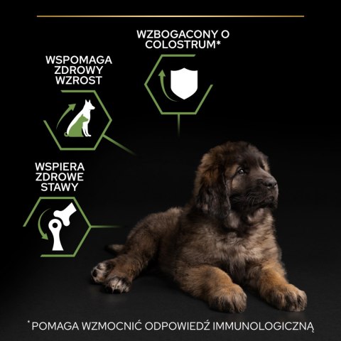 Purina Pro Plan Purina Pro Plan Large Puppy Robust Optistart Kurczak I Ryż 12kg