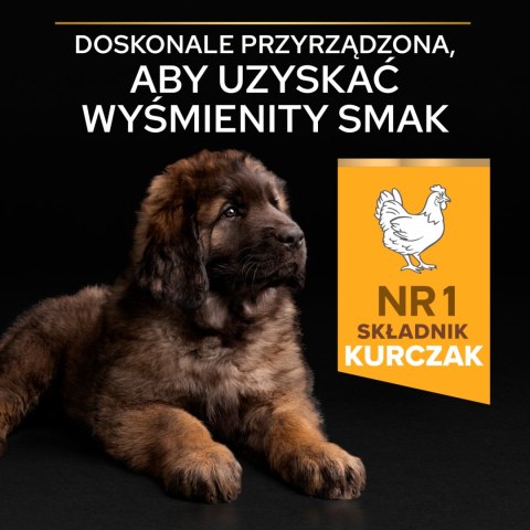 Purina Pro Plan Purina Pro Plan Large Puppy Robust Optistart Kurczak I Ryż 12kg
