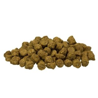 Bosch BOSCH Mini Light 2,5kg