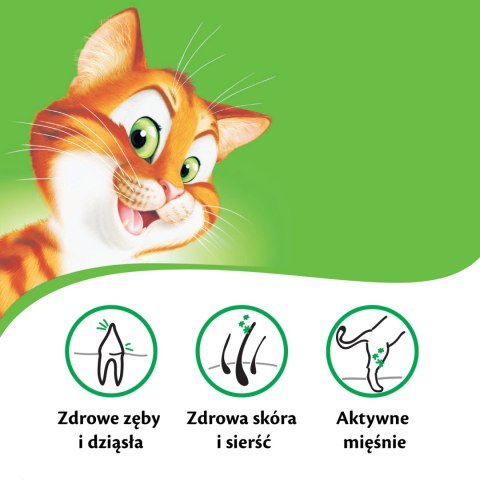 Kitekat KITEKAT Sucha Karma Dla Kotów Z Kurczakiem I Warzywami 12kg