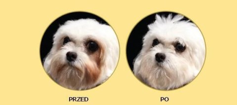 Nature's Protection Nature's Protection Superior Care White Dogs Adult Small Breeds With Lamb 10kg