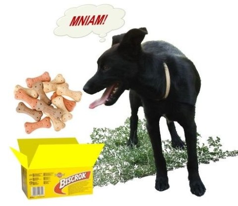 Pedigree Pedigree Biscrok Ciasteczka Dla Dorosłych Psów W Kształcie Kostek Z Jagnięciną, Kurczakiem I Wołowiną 500g