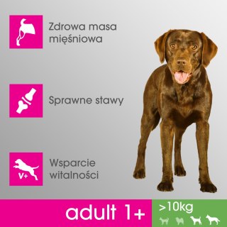 Perfect Fit PERFECT FIT Adult 1+ Duże Rasy Z Kurczakiem 825g