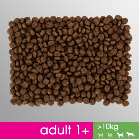 Perfect Fit PERFECT FIT Adult 1+ Duże Rasy Z Kurczakiem 825g