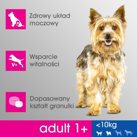 Perfect Fit PERFECT FIT Adult 1+ Małe Rasy Z Kurczakiem 6kg
