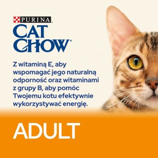 Purina Cat Chow Purina Cat Chow Adult Chicken And Rice 15kg