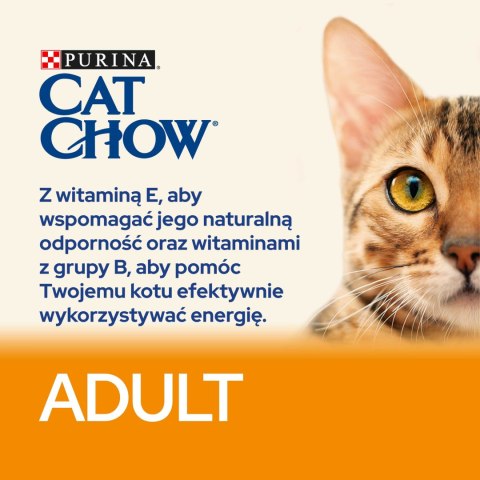 Purina Cat Chow Purina Cat Chow Adult Chicken And Rice 15kg