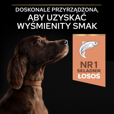 Purina Pro Plan Purina Pro Plan Large Adult Athletic Optiderma Łosoś I Ryż 14kg