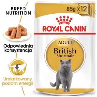 Royal Canin ROYAL CANIN British Shorthair Adult 12x85g