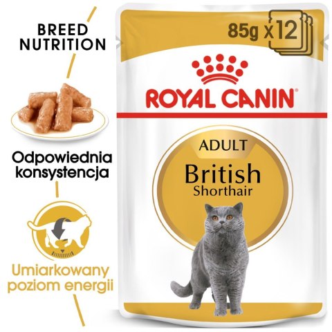 Royal Canin ROYAL CANIN British Shorthair Adult 12x85g