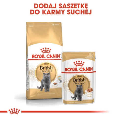 Royal Canin ROYAL CANIN British Shorthair Adult 12x85g