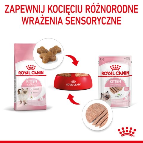 ROYAL CANIN Kitten Pasztet - saszetka12x85g, mokra karma dla kota