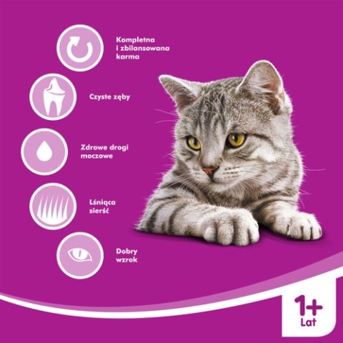 Whiskas WHISKAS Karma Sucha Dla Kota 1+ Z Wołowiną 14kg