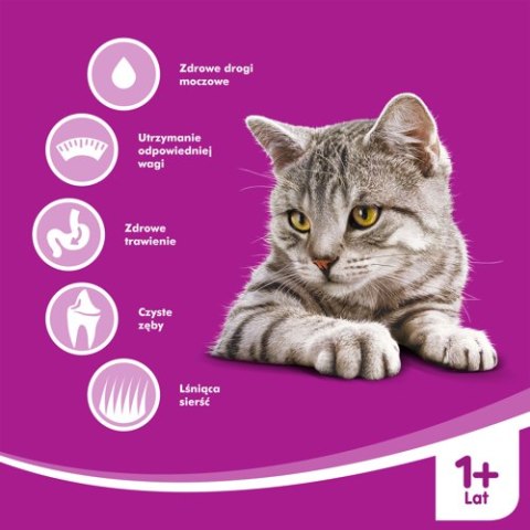 Whiskas WHISKAS Karma Sucha Dla Kota Po Sterylizacji 1+ Sterile Z Kurczakiem 14kg