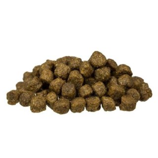 Bosch BOSCH Mini Senior 1kg