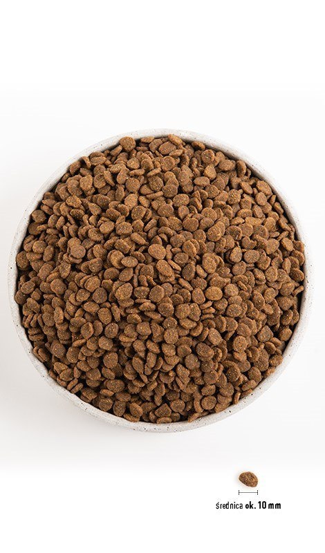 Orijen ORIJEN Original Cat 5,4kg