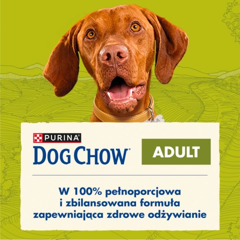 Purina Dog Chow Adult Z Jagnięciną 14kg
