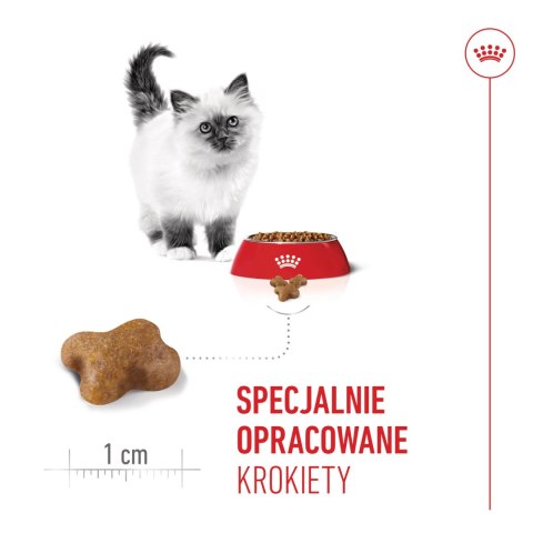 ROYAL CANIN Kitten 2kg
