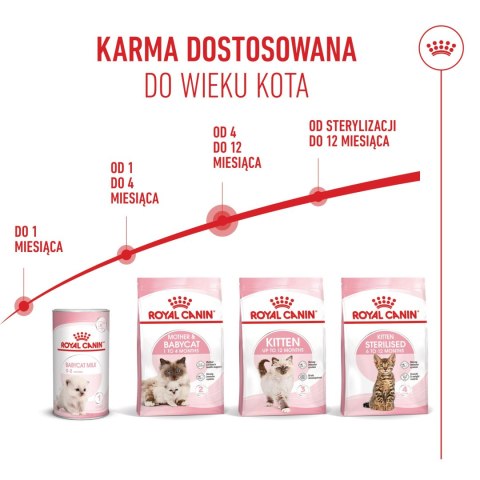 ROYAL CANIN Kitten 2kg