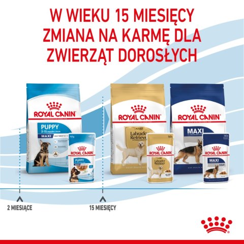 Royal Canin ROYAL CANIN Maxi Puppy 10x140g