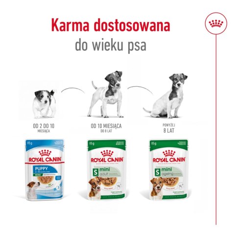 Royal Canin ROYAL CANIN Mini Adult 12x85g