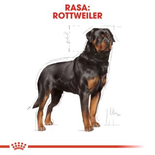Royal Canin ROYAL CANIN Rottweiler Adult 12kg