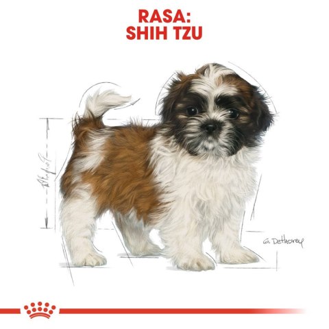 Royal Canin ROYAL CANIN Shih Tzu Puppy 500g