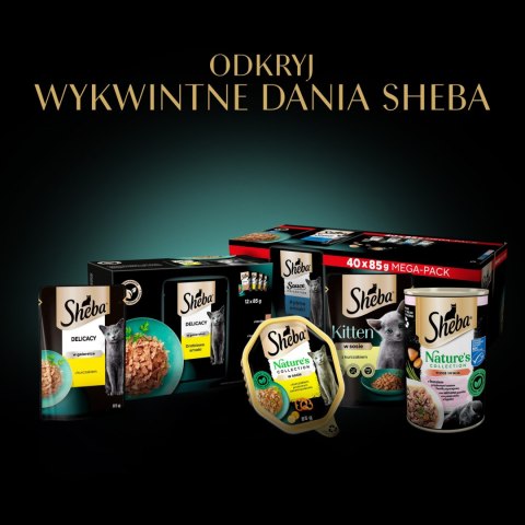 Sheba Sheba Saszetka Delicacy In Jelly Smaki Drobiowe 12x85g
