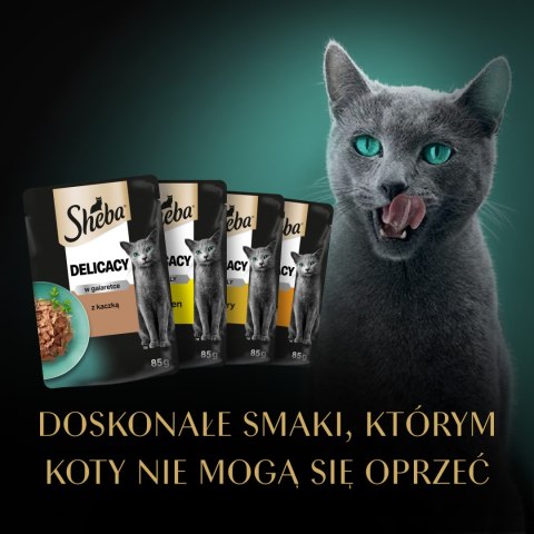Sheba Sheba Saszetka Delicacy In Jelly Smaki Drobiowe 12x85g