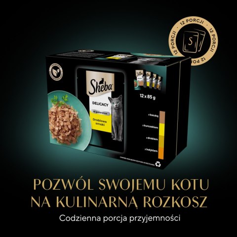 Sheba Sheba Saszetka Delicacy In Jelly Smaki Drobiowe 12x85g