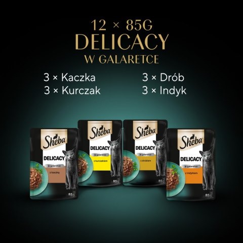 Sheba Sheba Saszetka Delicacy In Jelly Smaki Drobiowe 12x85g
