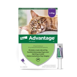 Bayer Bayer Advantage Roztwór Do Nakrapiania Dla Kotów 4x0,8ml