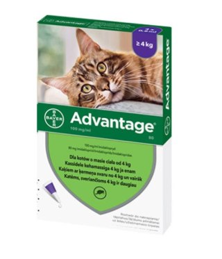 Bayer Bayer Advantage Roztwór Do Nakrapiania Dla Kotów 4x0,8ml