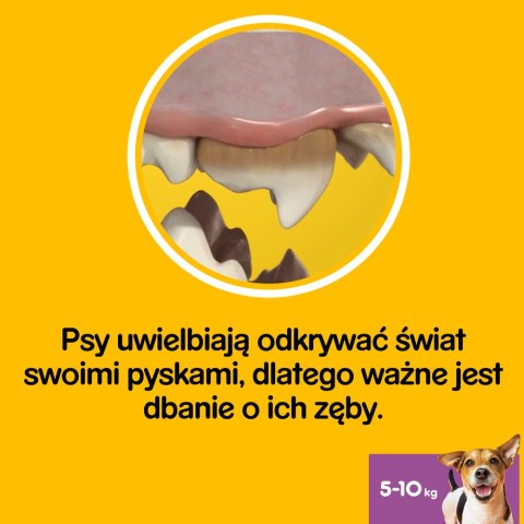 Pedigree Pedigree DentaStix Przysmak Dentystyczny Dla Psów Od 4 Miesiąca I Wadze 5-10kg 110g