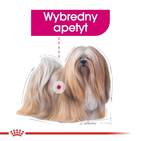 Royal Canin ROYAL CANIN CCN Exigent Pasztet 12x85g