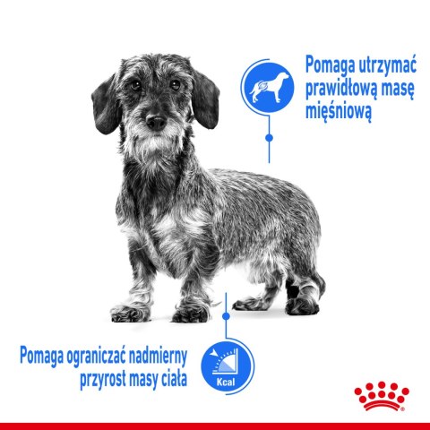 Royal Canin ROYAL CANIN Light Weight Care Pasztet 12x85g