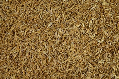 TETRA Tetra Anchovies 1l