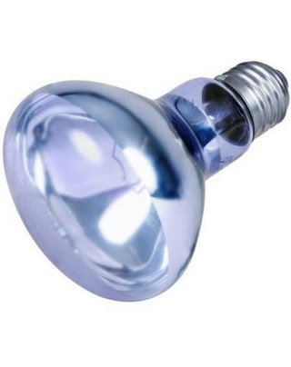 Trixie Trixie Neodymowa Żarówka Grzewcza 75W