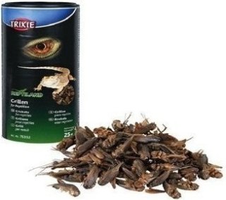 Trixie Trixie Suszone Świerszcze 25g