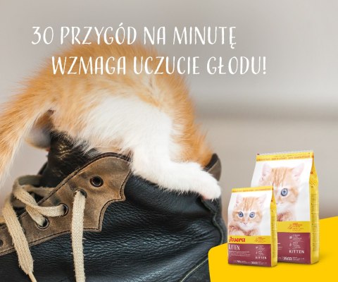 Josera Josera Minette Kitten 2kg