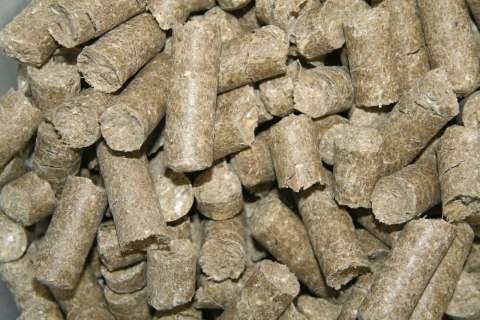 Kerbl KERBL Delizia Smakołyki Malina 1kg